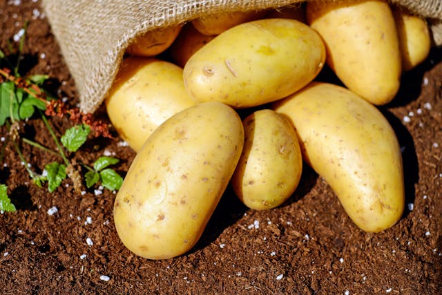 Are Potatoes Good for Your Health?