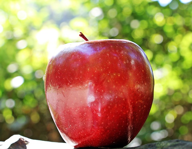 Are Apples Weight Loss Friendly? A Detailed Look