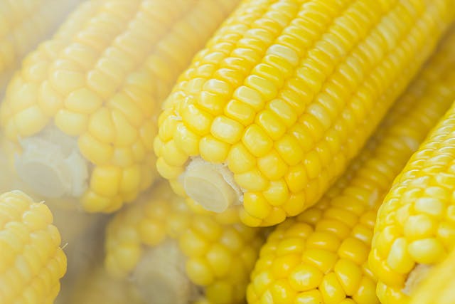 Is Corn a Grain, a Vegetable, or a Fruit Here's Everything You Need to Know