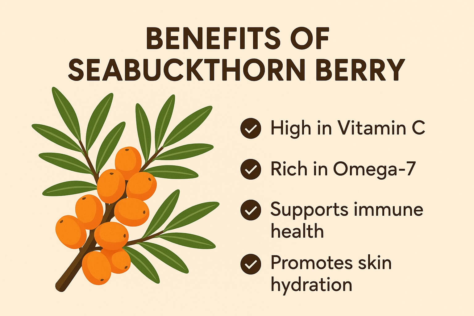 Infographic showing seabuckthorn berries with benefits