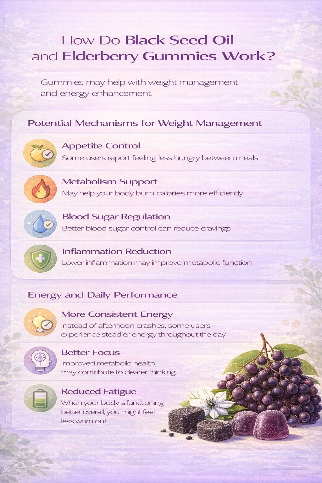 Minimal infographic explaining how black seed oil and elderberry gummies may support weight management and daily energy through appetite control, metabolism support, blood sugar regulation, inflammation reduction, and improved energy levels.